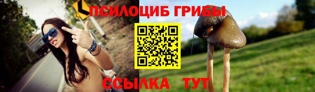 Корсаков  Псилоцибиновые грибы Psilocybine cubensis  Вход с VPN 